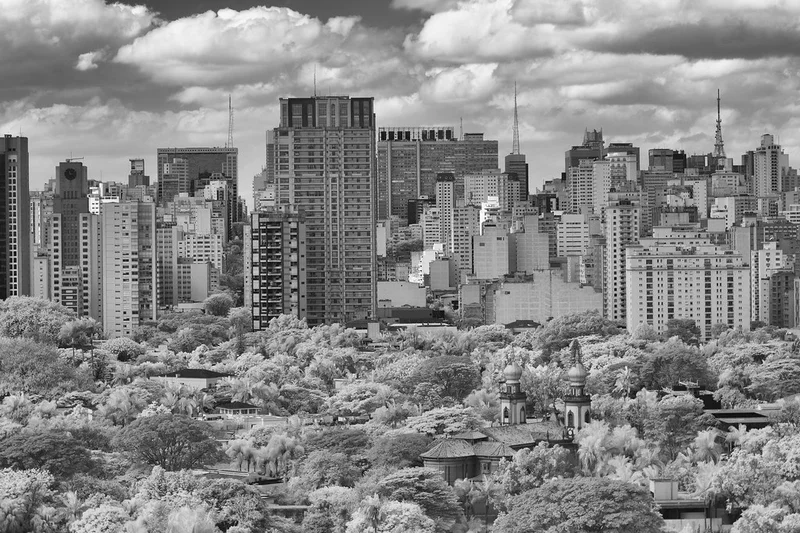Brazil Cut Income Tax and Taxed Dividends: What Expats Owe