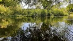 Thames Water 'flagship' chalk stream rated as poor