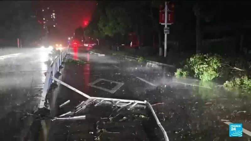 Dolphin: Tropical storm causes some flooding in eastern China