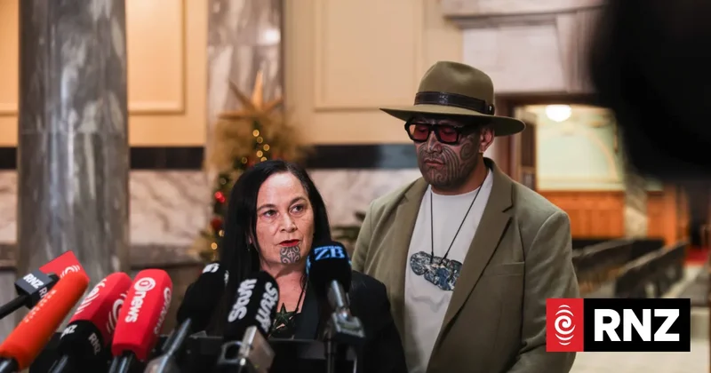 Te Pāti Māori reveals election strategy as campaign launches in Gisborne