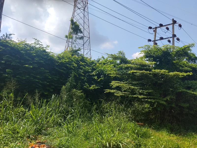 NERC dissolves Kaduna Electric board over N456.5 billion market debt