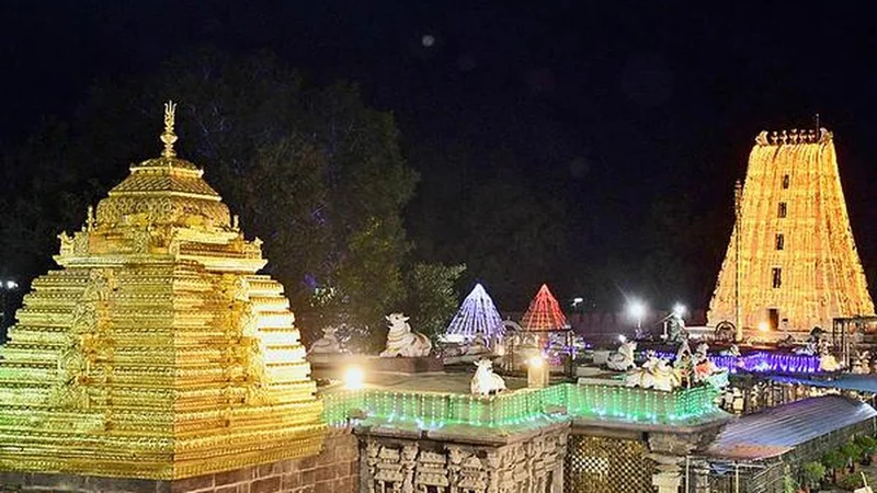 Srisailam temple to perform Varuna Yagam from August 7 to propitiate rain god