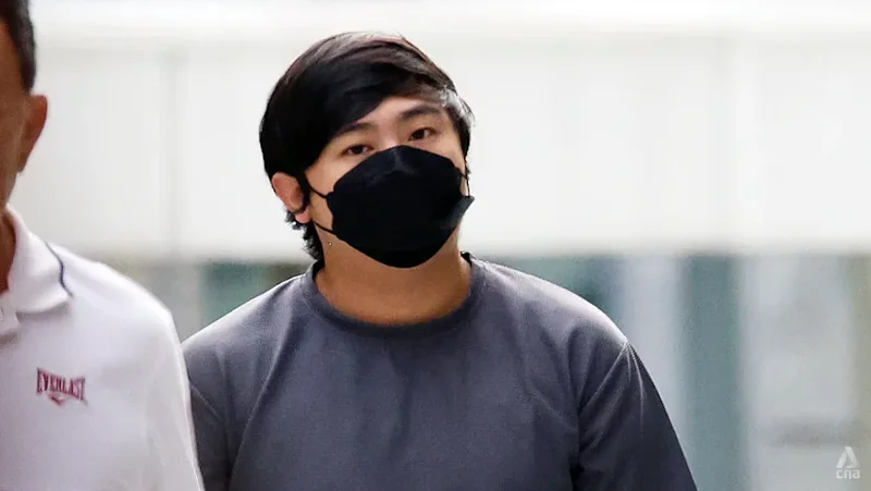 Member of syndicate that distributed vapes from Malaysia islandwide gets jail, fine