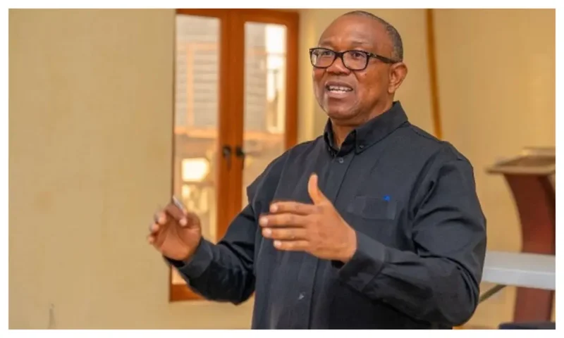 Lawmakers, SANs now defend forgery, religious leaders pray for criminals – Peter Obi