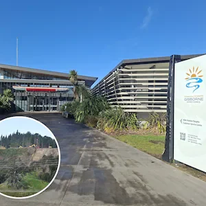 Tairāwhiti forestry: Independent review to test Gisborne consent costs and processing times