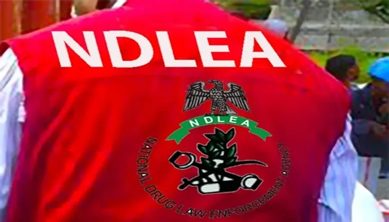 NDLEA intercepts China, Italy-bound cocaine in Lagos, nabs bandits’ supplier in Zamfara