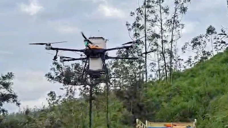 HML uses drone seeding to restore 15 acres of eucalyptus land in Idukki