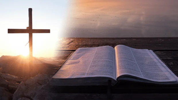 Daily Gospel, August 10, 2026