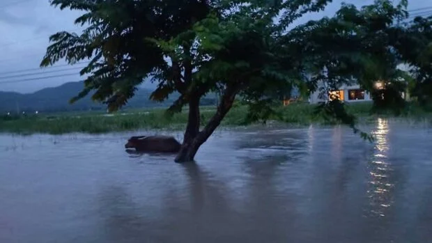 2 Antique towns shift to distance learning due to monsoon rains