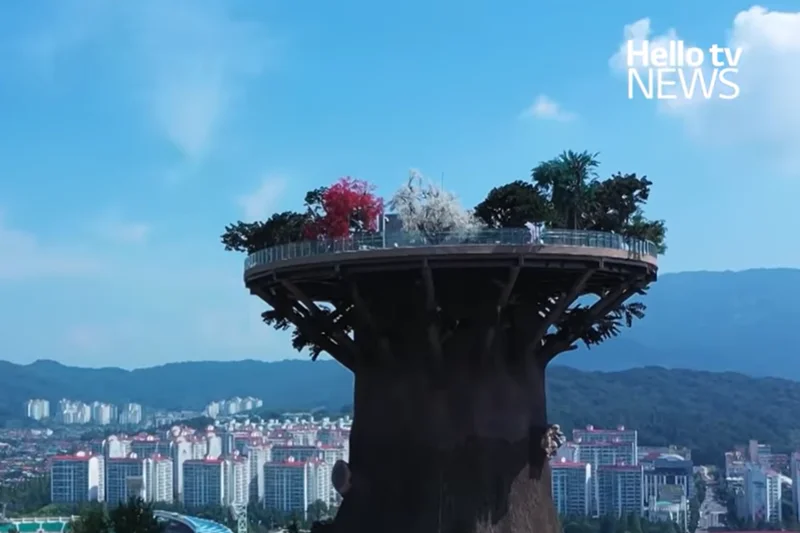 South Korean city asks public how to fix its £18m ‘shame tree’ tower