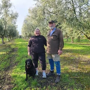 Ōtaki couple swap sheep and beef farming for olive oil business