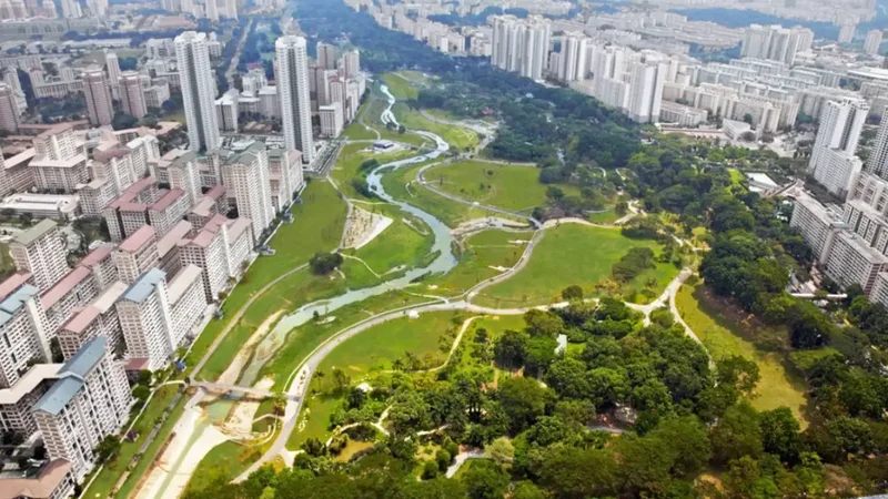 Singapore replaced concrete drain with river; biodiversity rose 30%