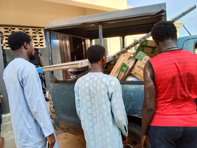 Yobe police arrest four suspects, recover stolen goat, building materials