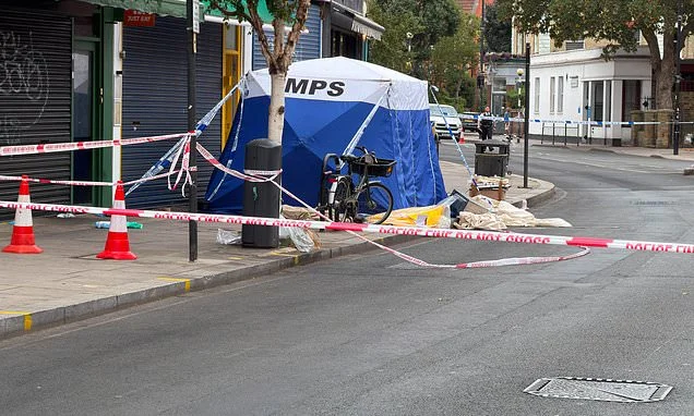 Woman stabbed to death in street in London is named as man is charged with murder