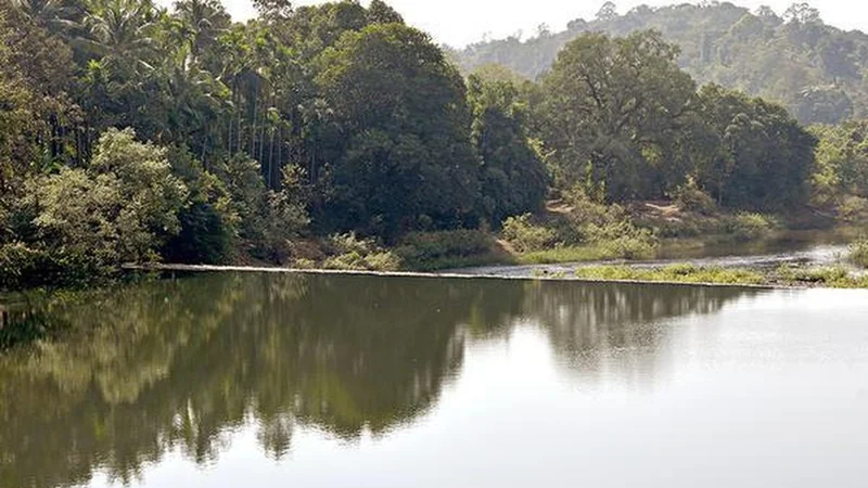 No proposal for Environmental Clearance pending for Mahadayi: Centre