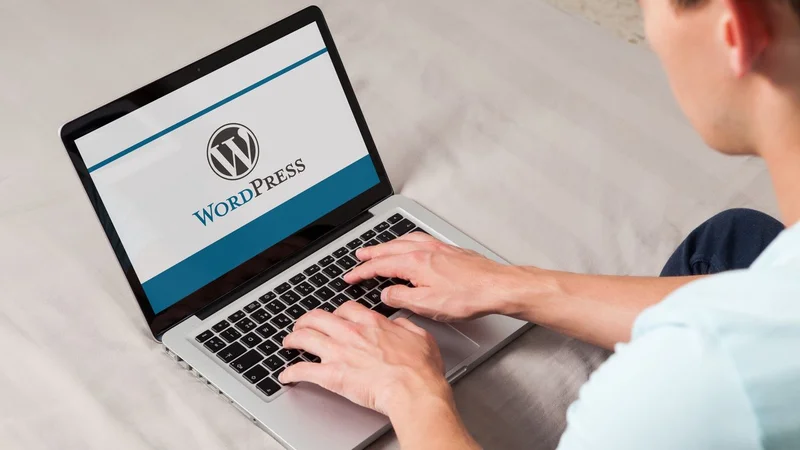 Experts warn 2,000 hacked WordPress sites were secretly running a global crime ring