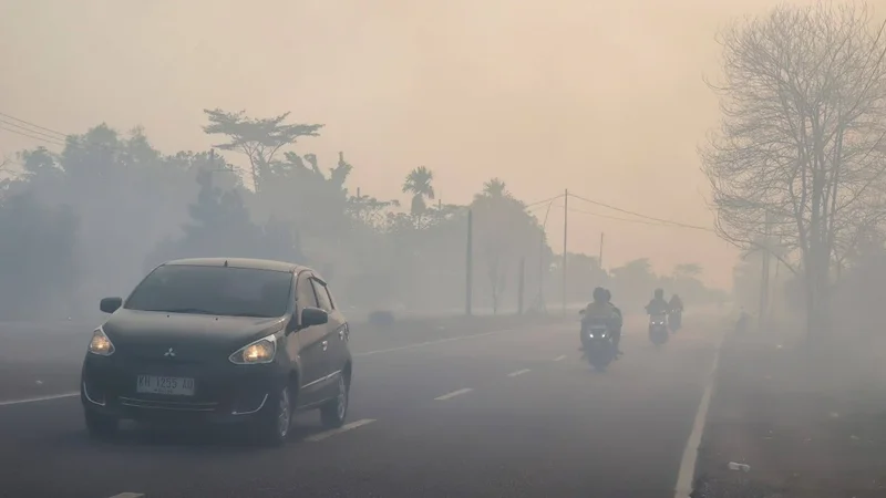 Malaysia’s Sarawak shuts almost 600 schools as haze hits ‘very unhealthy’ level