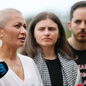 Election 2026: Green Party to campaign on banning supermarket price gouging