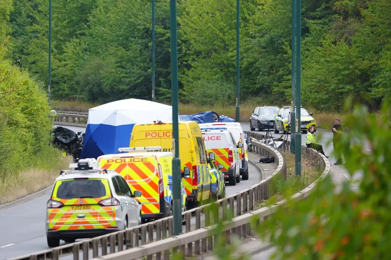 7 people, including 2 police officers, die following a head-on collision in northeast England