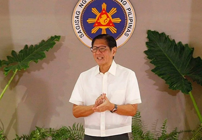 Marcos seeks development of critical minerals industry