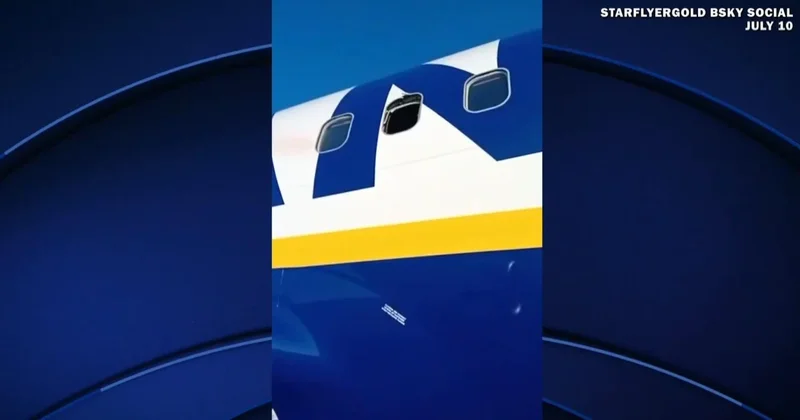 Evidence of bird strike after man nearly sucked out of plane window, NTSB says