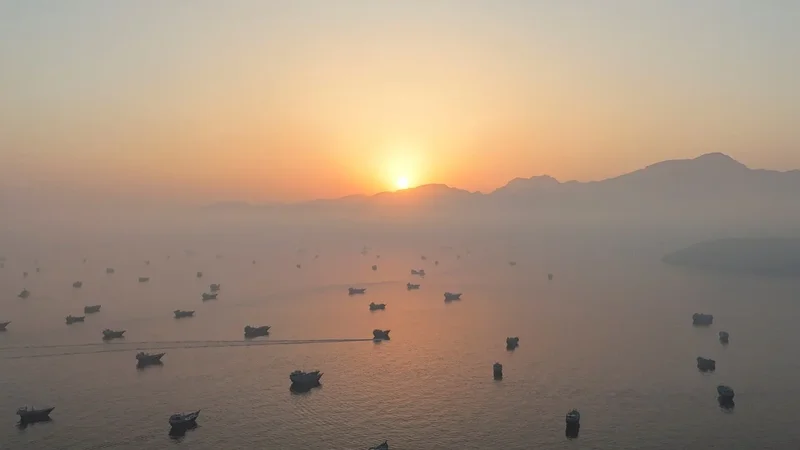 Hong Kong ship crews stranded in Strait of Hormuz ‘safe and offered counselling’