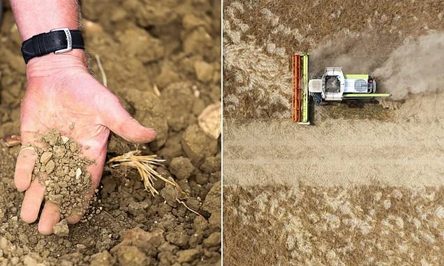 Banks roll out emergency loans for farmers as severe drought threatens to savage crop yields