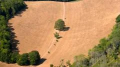UK sees hottest day of the year as 38.1C recorded in Kew Gardens