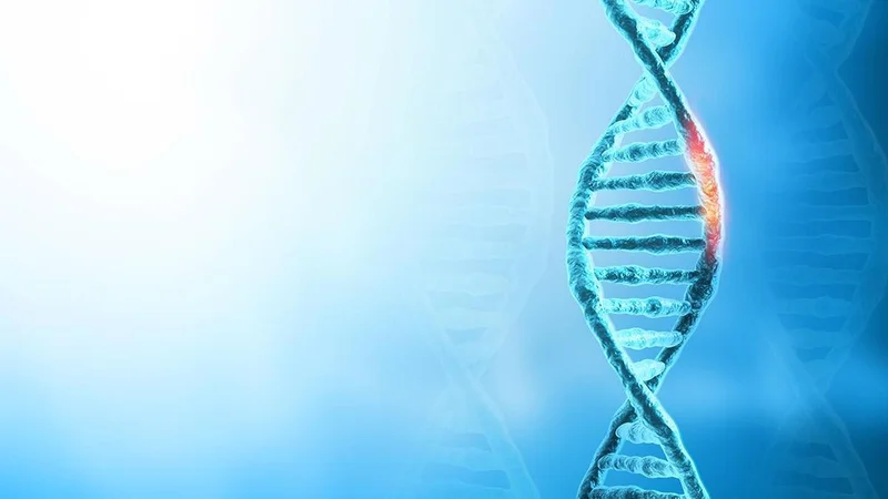 What we can learn from nature switching off human genes