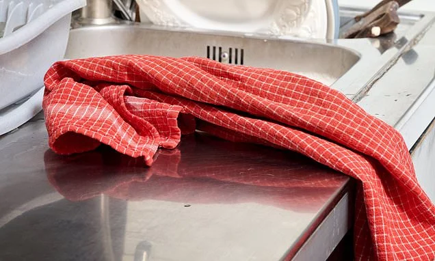 How often should you change your tea towels? Microbiologist finally settles the debate - so, are you doing it enough?