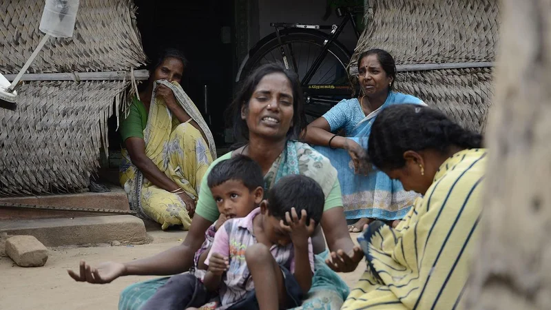 Karnataka forest killing revives memories of chilling gunning down of 20 Tamil Nadu woodcutters in Andhra Pradesh