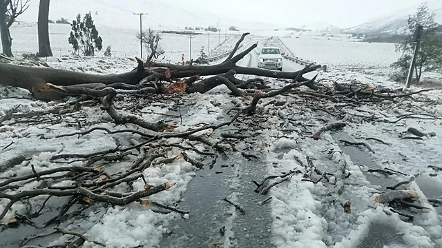 South Africa weather alert: snow, hail and icy roads disrupt travel