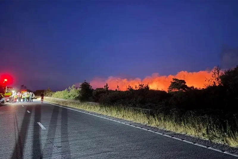 A31 closed as firefighters tackle major New Forest blaze sparked by vehicle fire