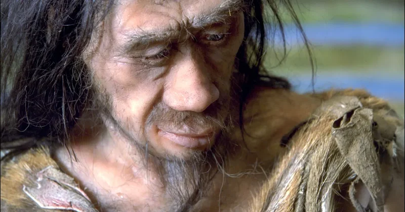 Early Humans Likely Ate Carbs and Sugary Foods