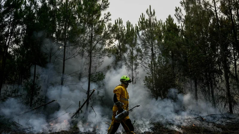 French firefighters stop wildfires' spread but they continue to burn