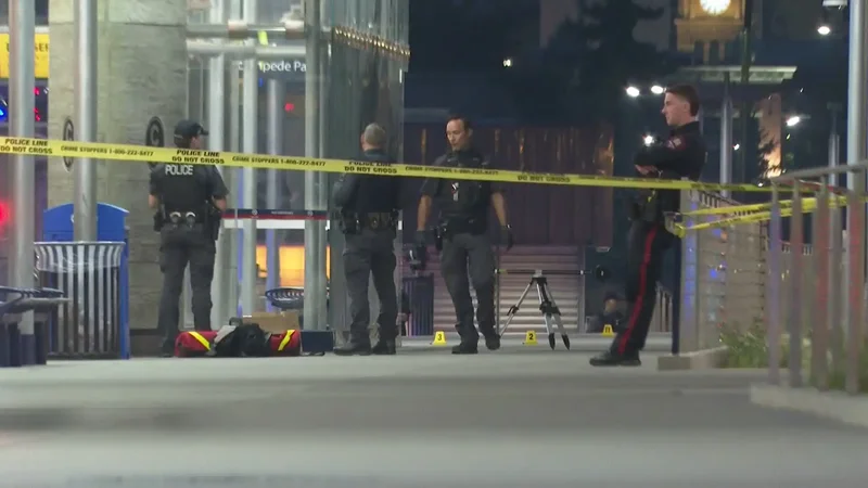 Calgary man charged after 2 people shot at downtown CTrain station