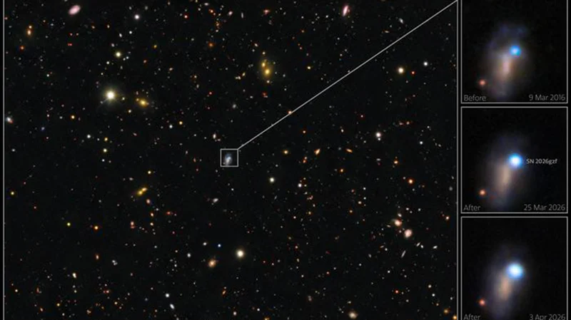 A star 20 times the size of the sun died in a supernova — and telescopes around the world joined forces to watch it