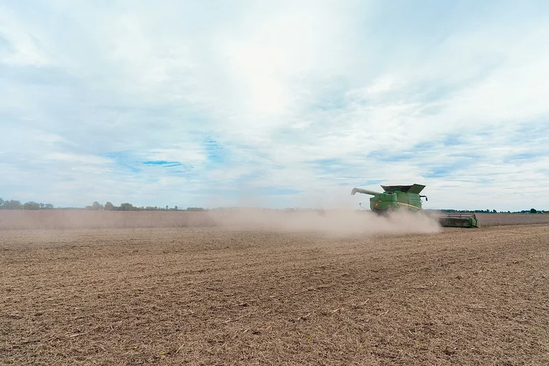 Grains Wrap: Soybeans and Corn Climb, Lifting Latin American Exporters