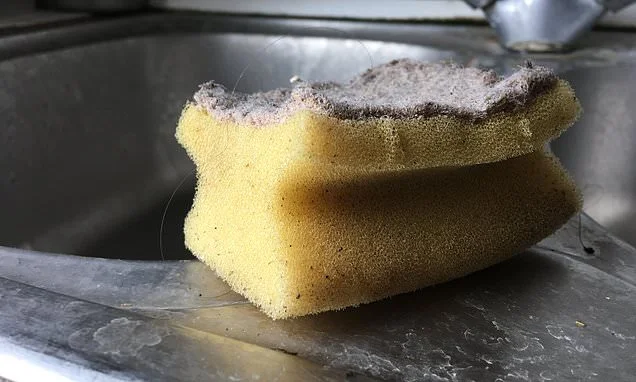 How often should you change your kitchen sponge? Microbiologist finally settles the debate - so, are you doing it enough?