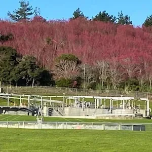 Alarm over plan to truck Auckland housing development’s wastewater north