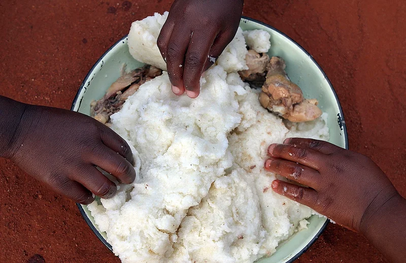 HUNGARY HOMES: At the heart of the home, gogo Toti goes without so grandchildren can eat