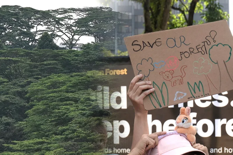 Does the way the Government engages and consults the public need to change?