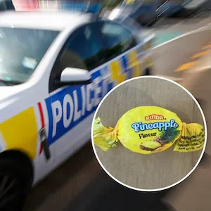 Meth lolly importers Yu Wang, Chen Cheah moved to NZ from Asia for commercial drug syndicate