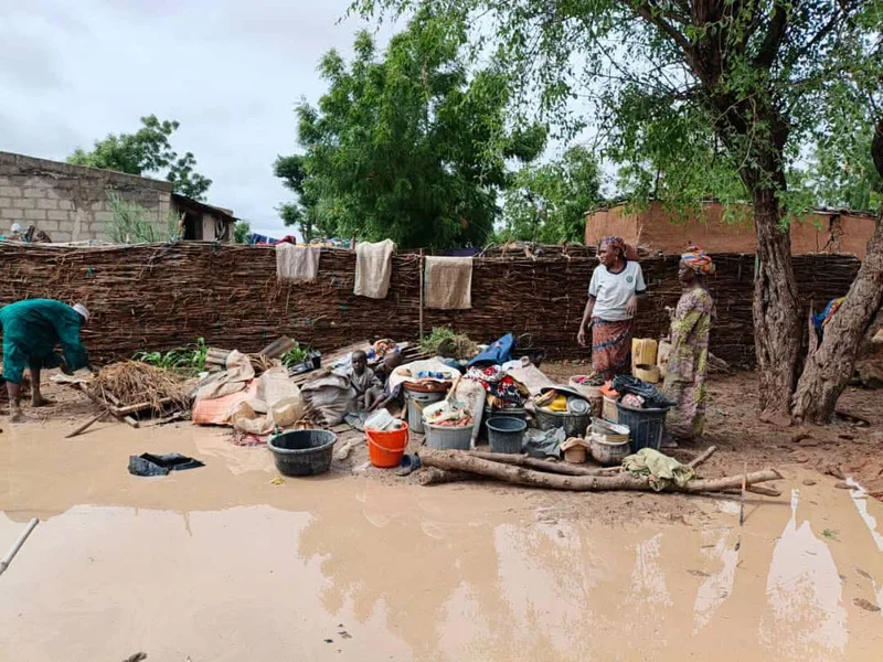 Flash floods hit three Yobe LGs, render many families homeless