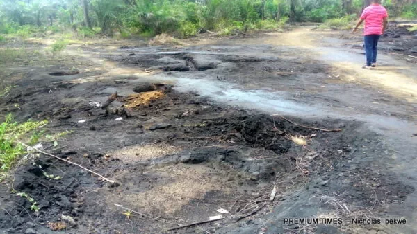 Ogoniland: 51 civil society groups oppose planned resumption of oil production