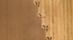 Farmers warn shoppers face smaller and more expensive vegetables due to hot weather