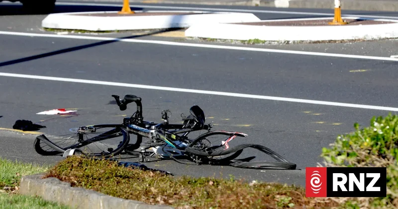 Man hit into teenage cyclists, allegedly killed dog in violent rampage in Auckland's Epsom