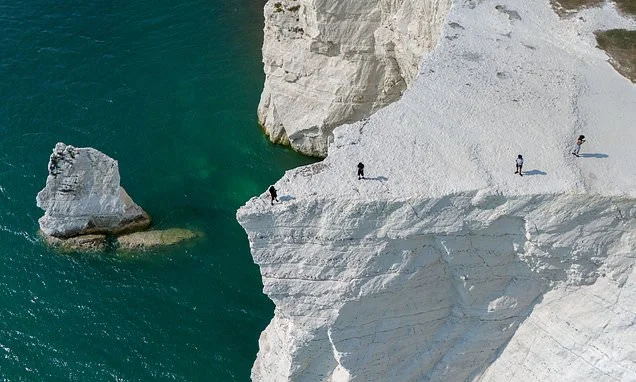 On the brink of insanity: Walkers (and children!) risk their lives for a selfie on South Coast cliffs