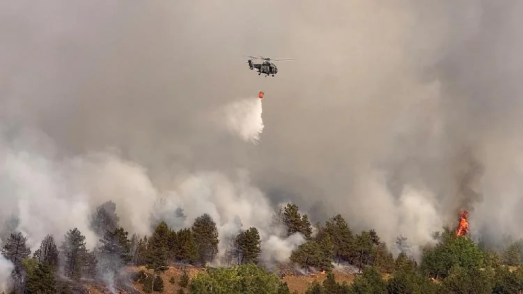 Serbia battles wildfires as extreme heat, drought intensify