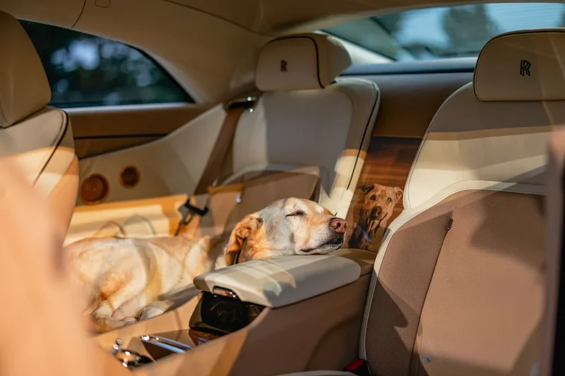 American couple create one-off Rolls-Royce in unique tribute to their dog